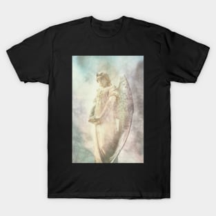 Stone Angel T-Shirt